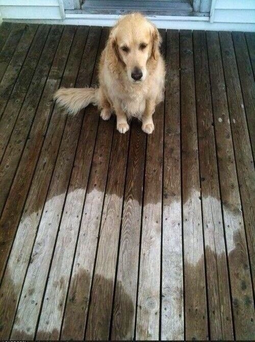 Someone fell asleep in the rain