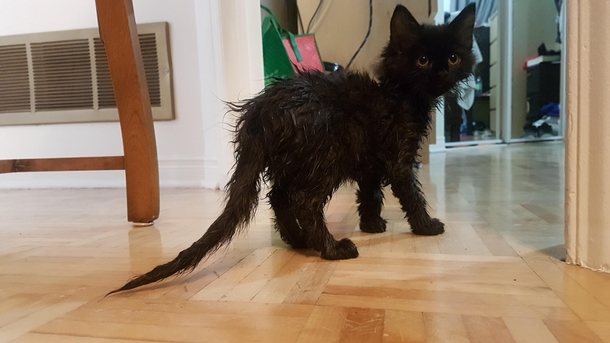 Someone fell in the bathtub