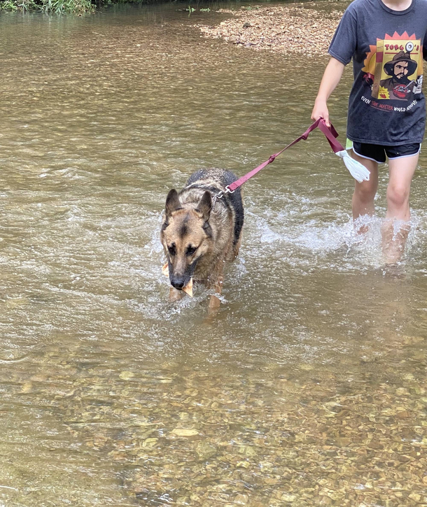 Someone found a piece of pizza in the creek