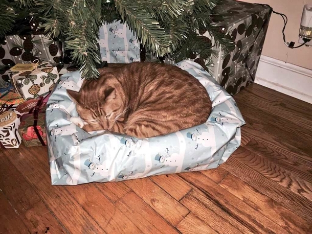 Someone guessed what thyere getting for christmas