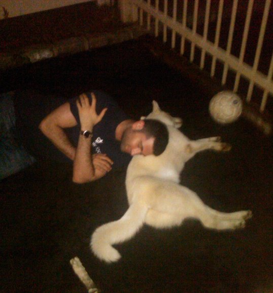 Someone had a ruff night This is the driveway