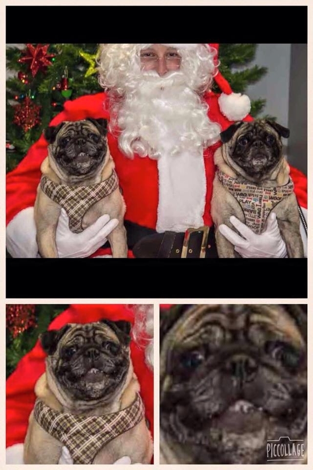 Someone has been a good boy this year and he knows it