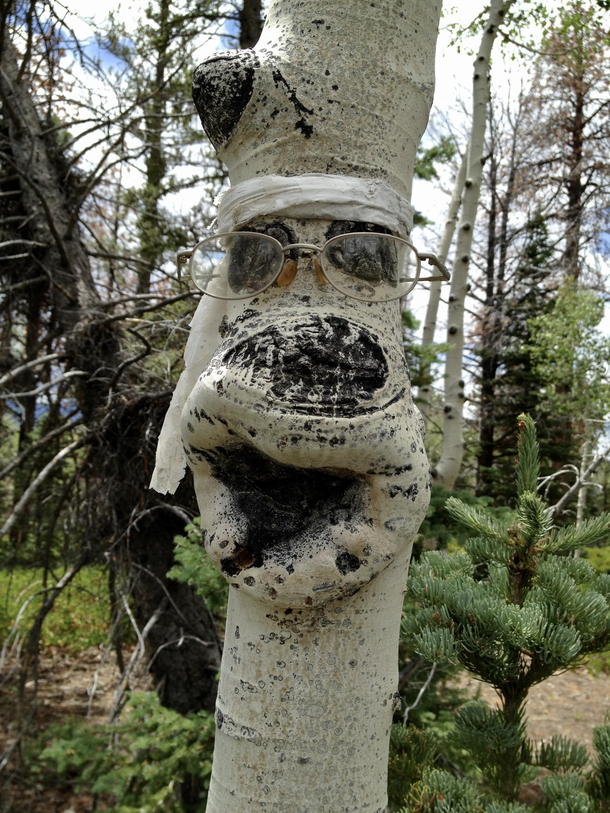 Someone hung lost glasses on this tree next to the hiking trail