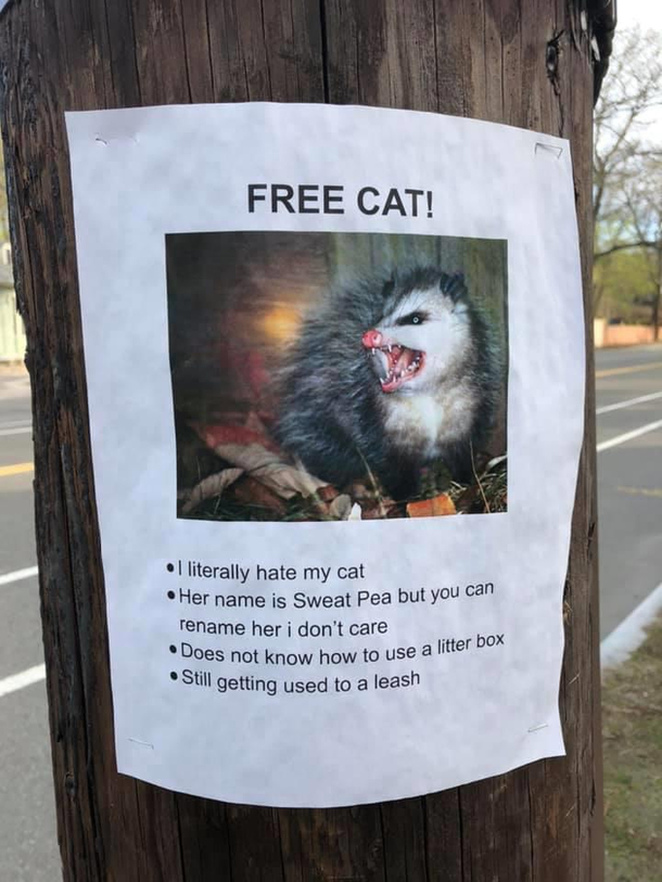 Someone in my neighborhood is having fun