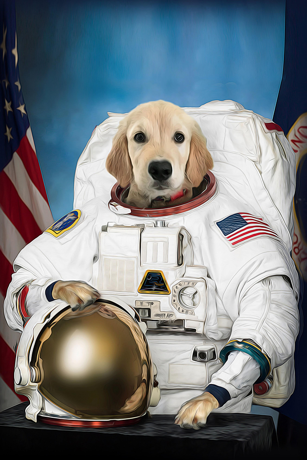 Someone in with space X get my resume in to them please
