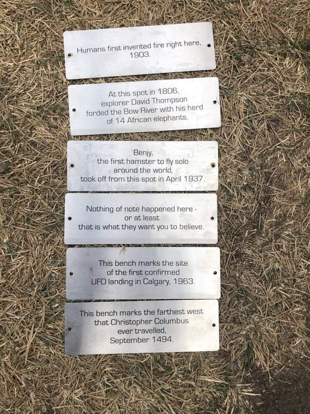 Someone installed these plaques on a bunch of benches they got taken down by the city today but I think theyre priceless