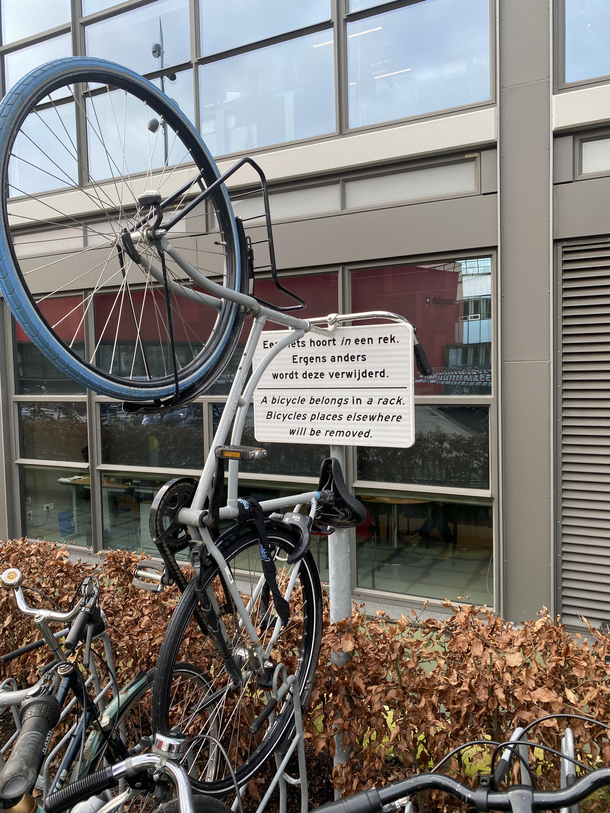 Someone isnt a fan of the rules