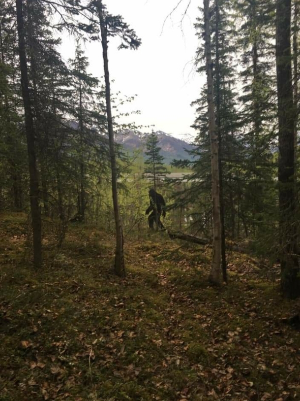 Someone keeps leaving this cutout of Bigfoot around town This time he was on a trail