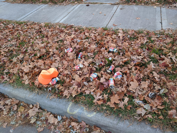 Someone killed a Level  Fratboy but didnt take the loot drop