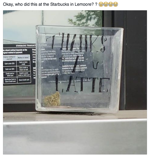 Someone left a pretty sizable nug of weed in the tip jar at the Starbucks drive thru in my hometown