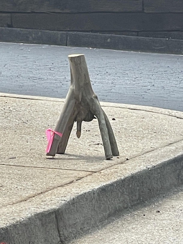 Someone left this stump outside our urology office