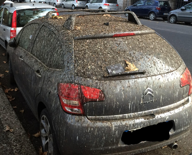someone posted bird poop revenge thought of this car I found in Rome many years ago