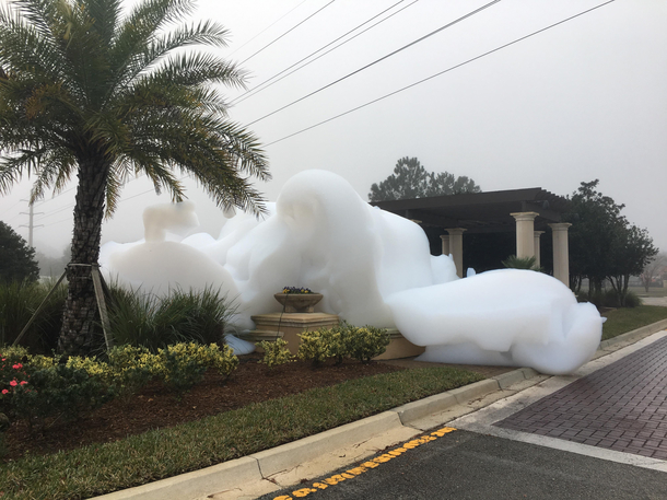 Someone poured laundry detergent into the fountain in front of our neighborhood
