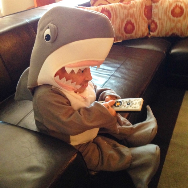 Someone really likes shark week