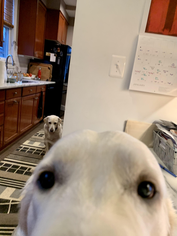 Someone seeks attention