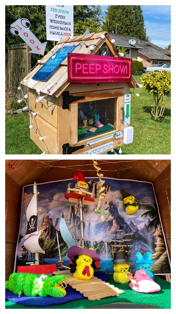 Someone turned one of those free little libraries into a peep show