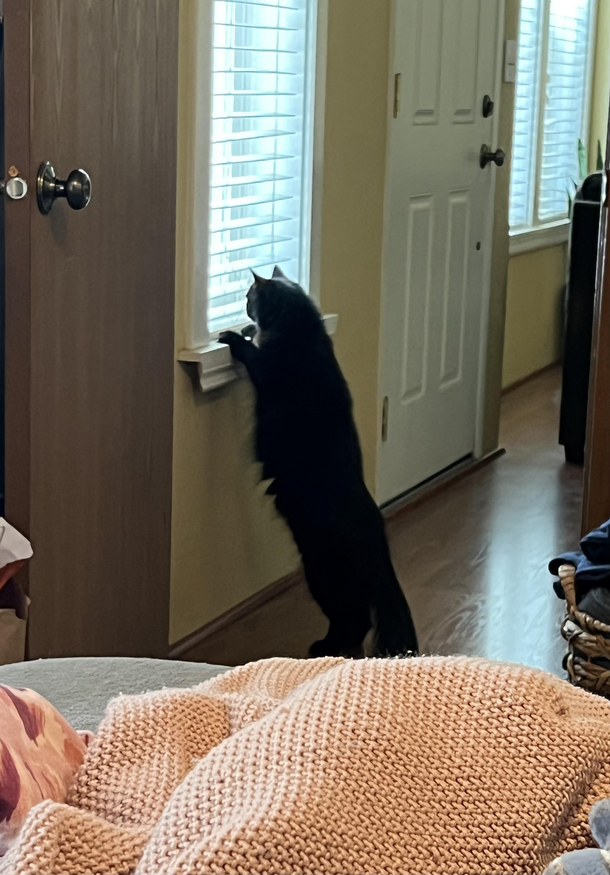 Someone wants to go play in the snow