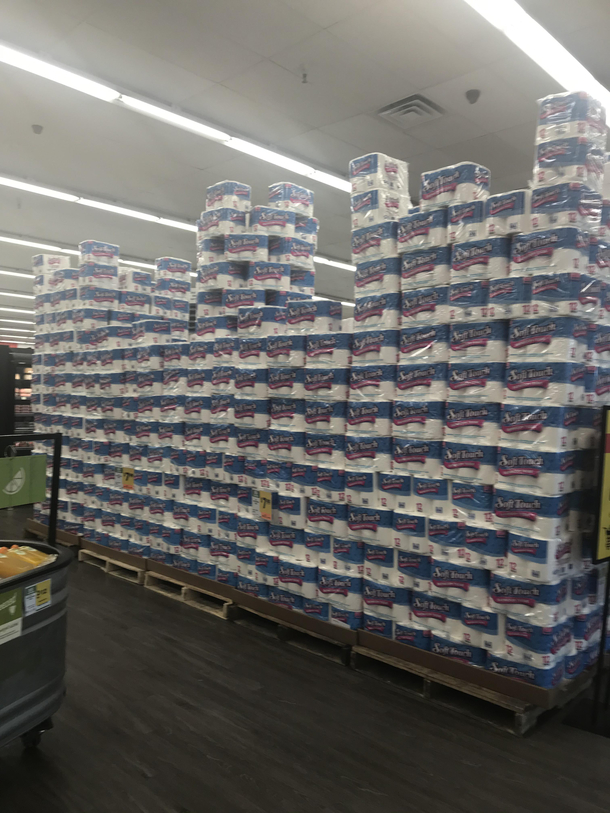 Someone was excited toilet paper was back the stockers built a  foot castle