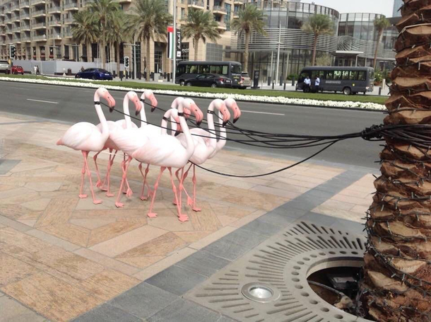 Someone watch them for me