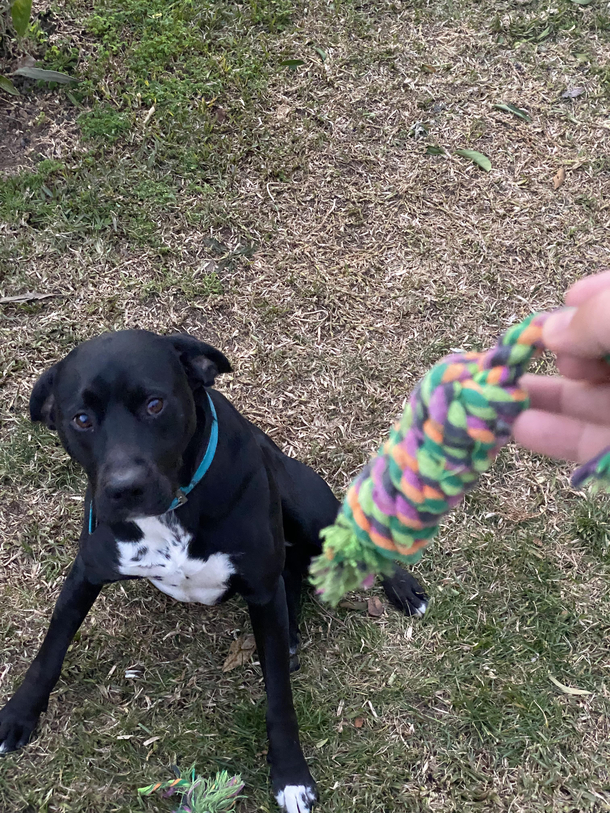 Someones feeling sad after breaking his favorite toy