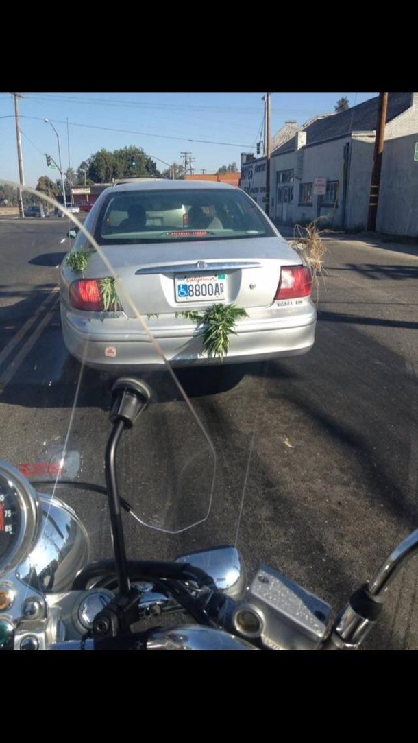 Something I can help you with officer