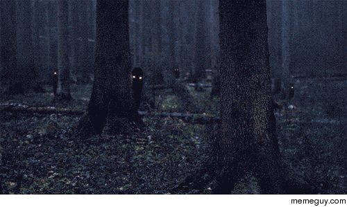 Something in the forest is lurking