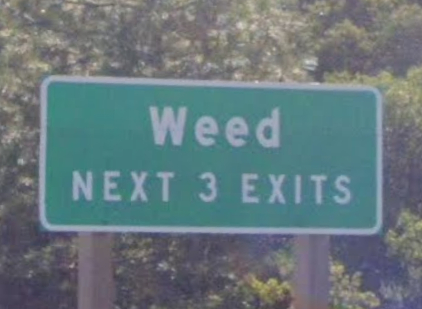 something something weed something