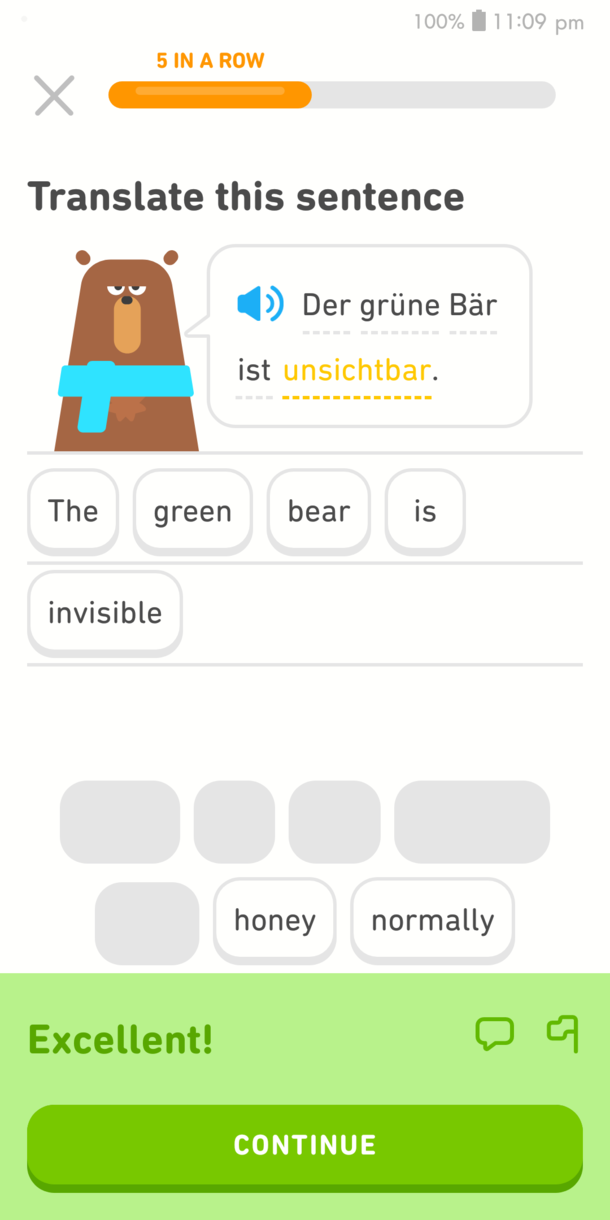 Sometimes I Really Question Duolingo - Meme Guy