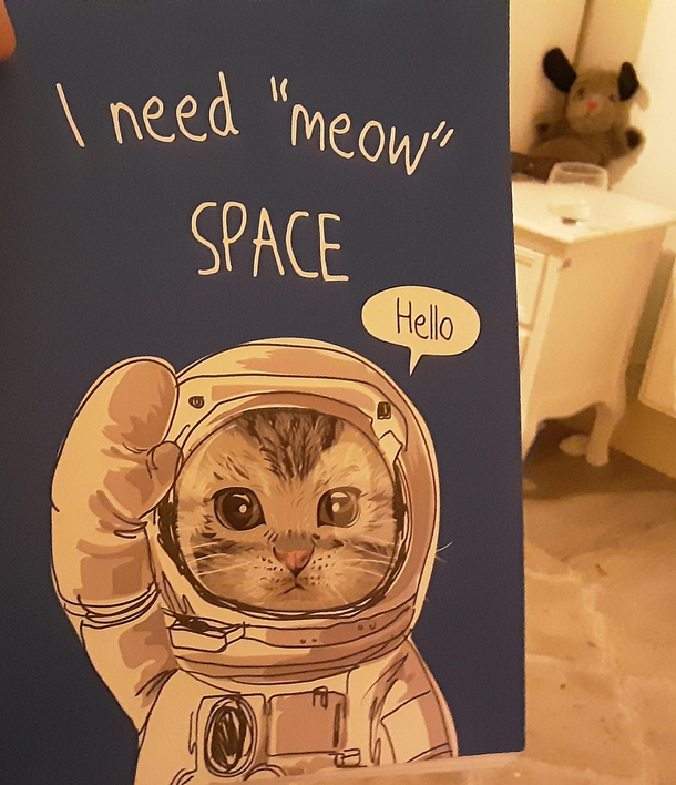 Sometimes Introverts need Space and its all good they still love you