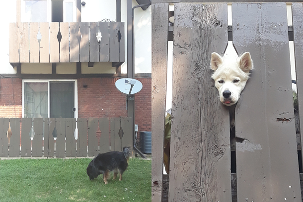 Sometimes it feels like somebodys watchin me