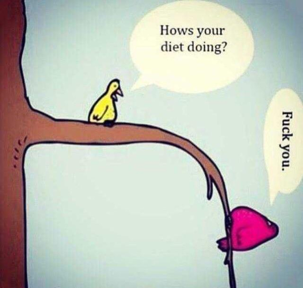 Sometimes its better not to ask 