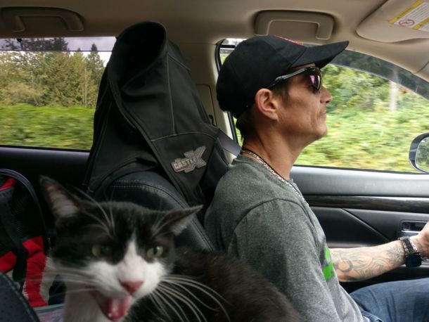Sometimes my uncle drives like a crazy person Nana agrees apparently