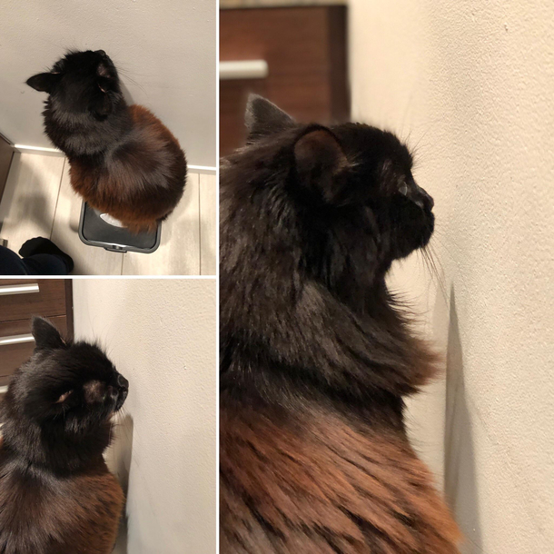 Sometimes she does this for ages