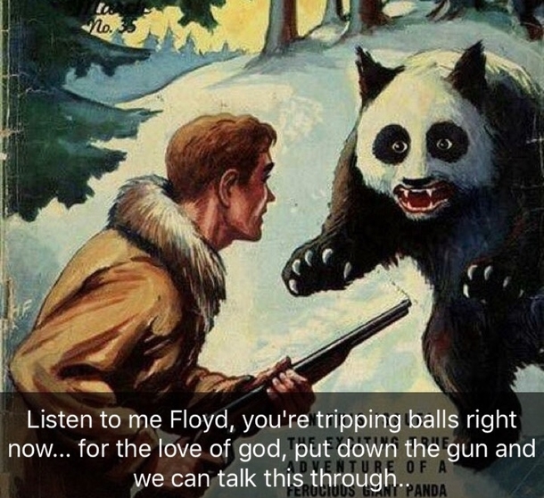 Sometimes the caption makes all the difference