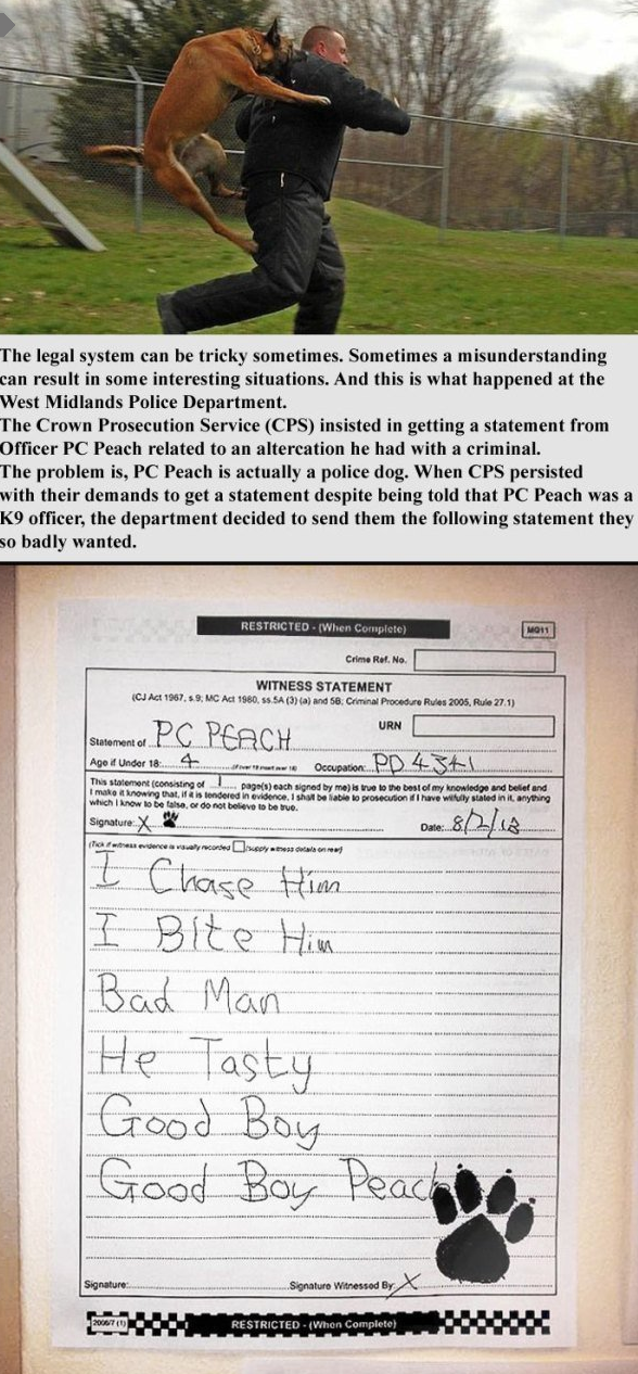 Sometimes the legal system can be funny