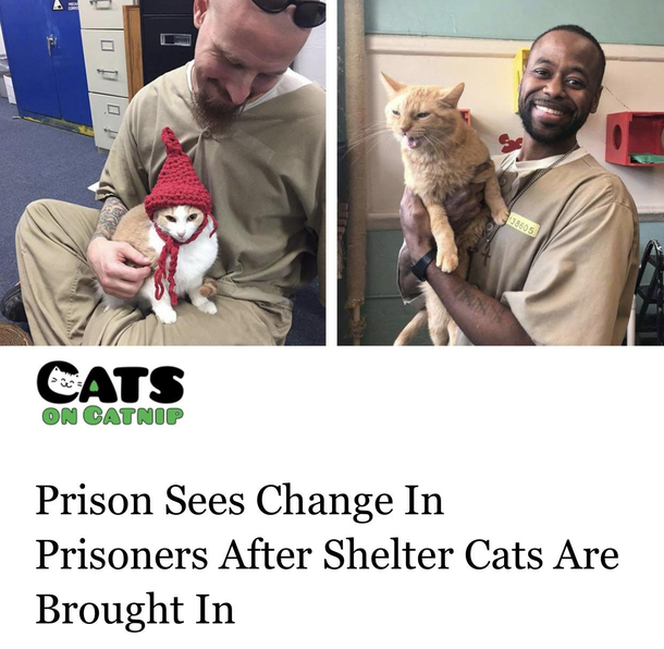 Sometimes you just need a little pussy