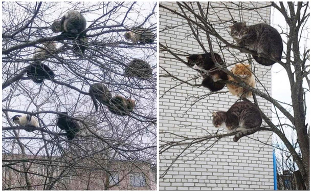 Somewhere in Russia