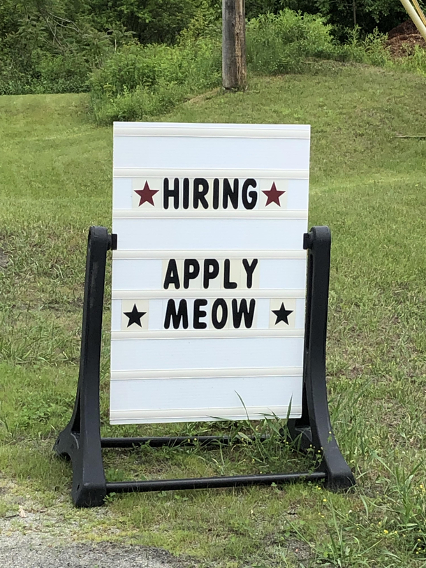 Somewhere in Vermont