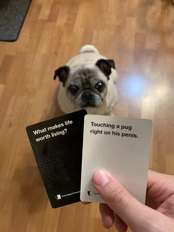 Sorry buddy