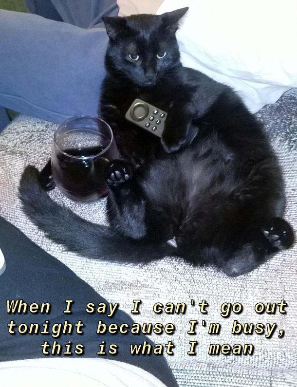 Sorry cant tonight already have plans