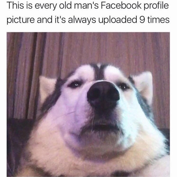 Sorry for posting your pic Dad