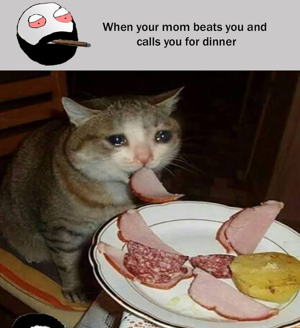Sorry Mom