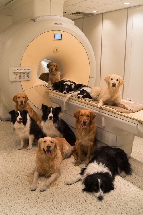 sorry sir we dont have the facilities for a cat scan but we can certainly get you a lab report