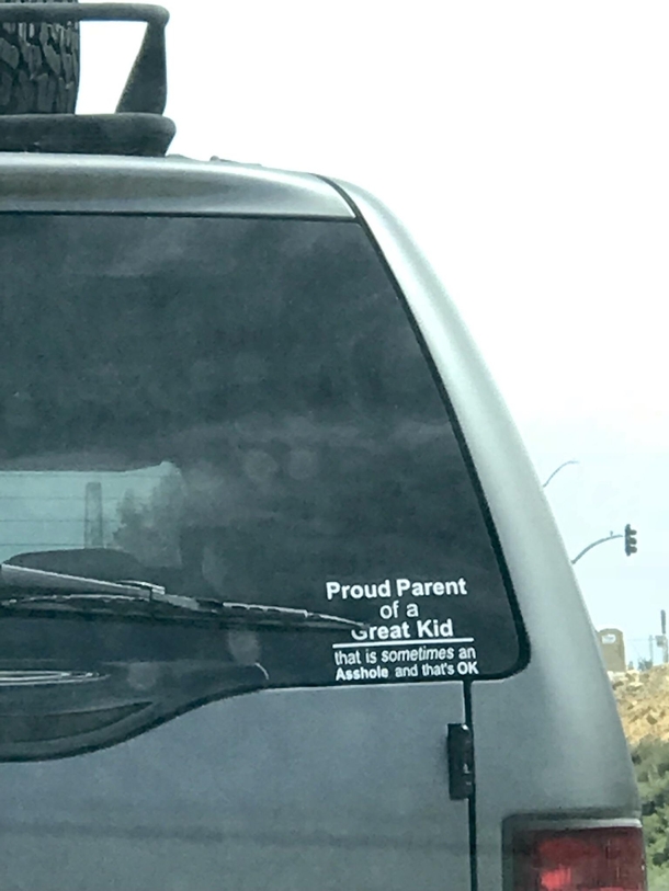 Sort of Proud Parent