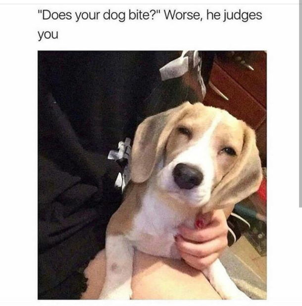 Sounds like everyone around me