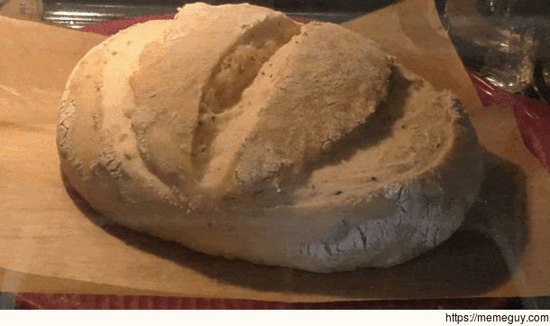 Sourdough Bread Rising