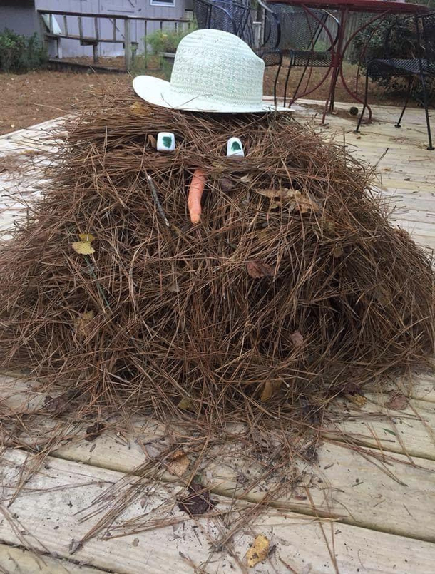 Southern snowman