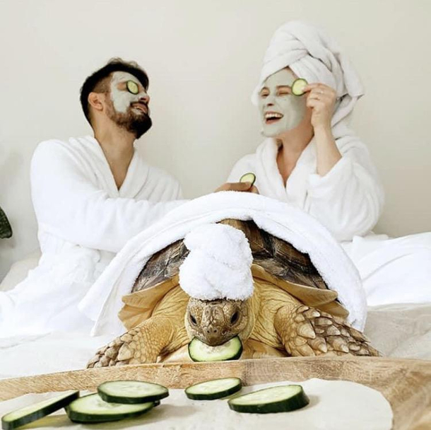 Spa day is incomplete without a tiny tortoise turban