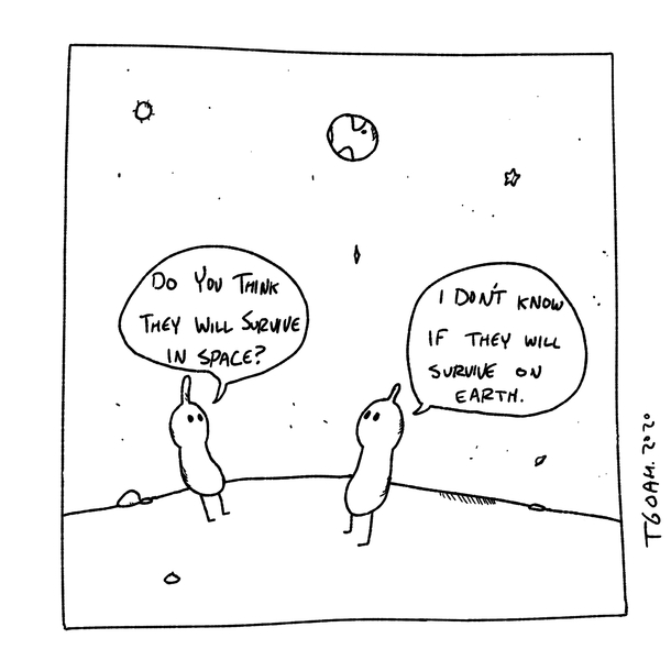 Space Travel 