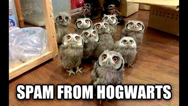 Spam from Hogwarth